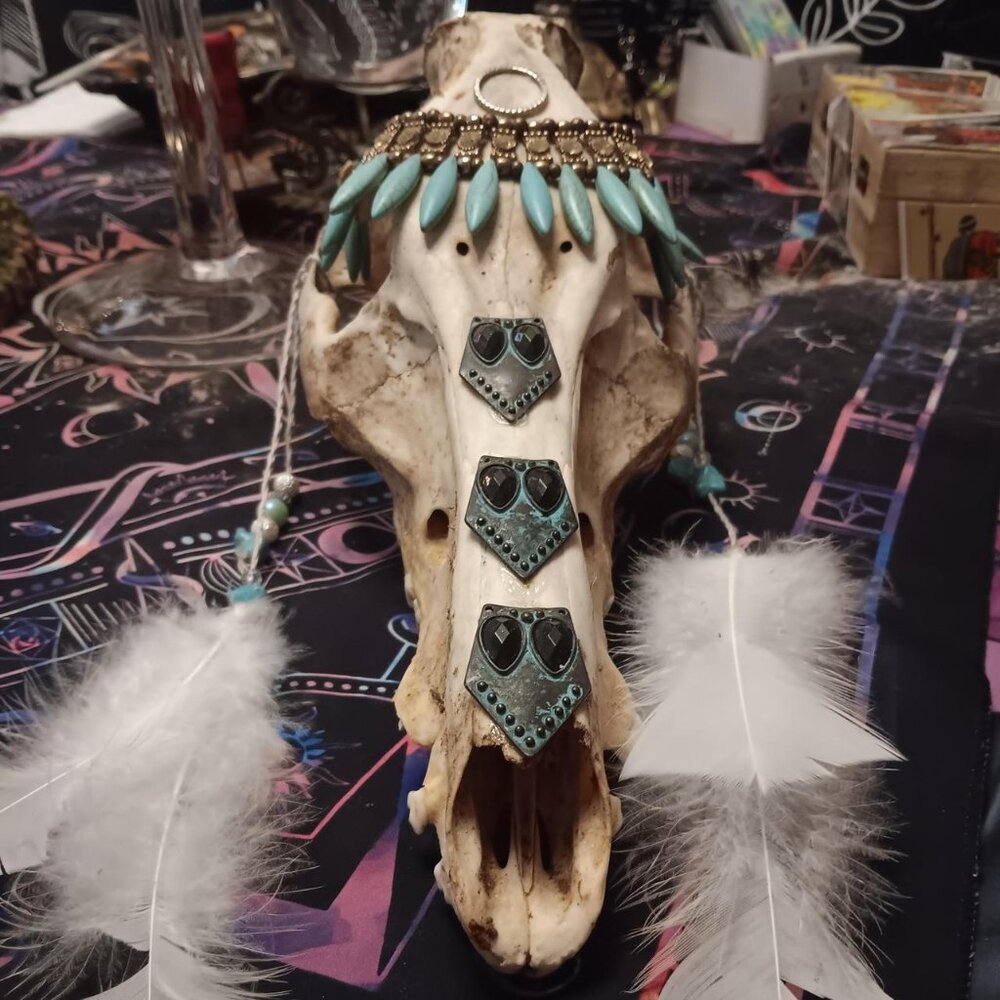 Sculpture Real Roe Deer Skull With Engraved Design Labradorite